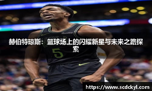 DG视讯官方网站