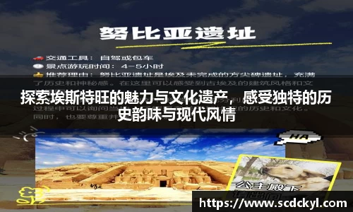 DG视讯官方网站